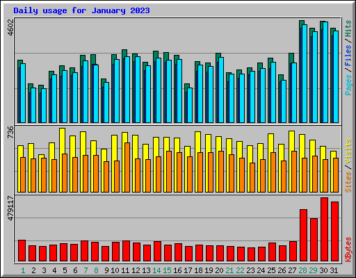 Daily usage for January 2023