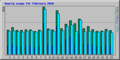 Hourly usage for February 2020