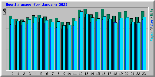 Hourly usage for January 2023