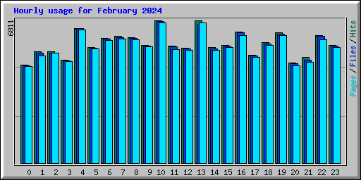 Hourly usage for February 2024