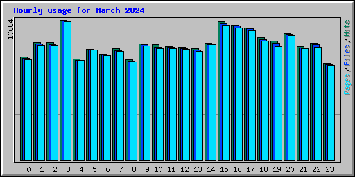 Hourly usage for March 2024