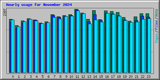 Hourly usage for November 2024