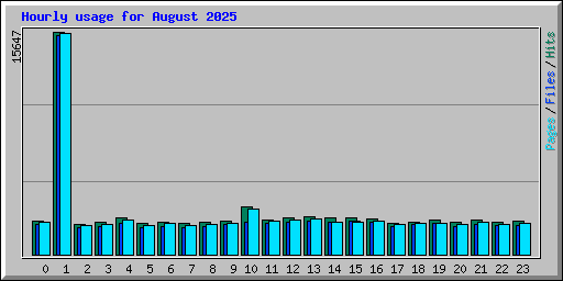 Hourly usage for August 2025