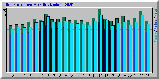 Hourly usage for September 2025