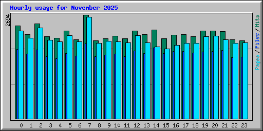 Hourly usage for November 2025