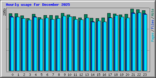 Hourly usage for December 2025