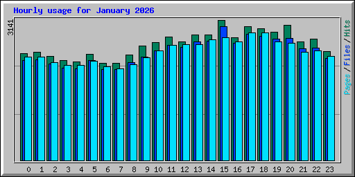Hourly usage for January 2026
