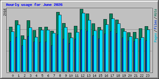 Hourly usage for June 2026