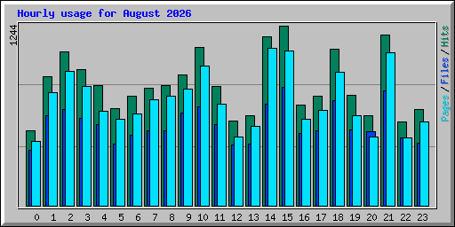 Hourly usage for August 2026