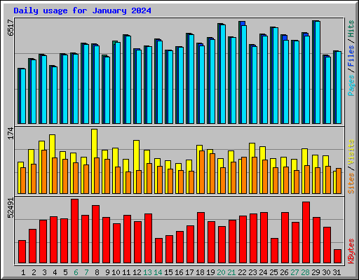 Daily usage for January 2024
