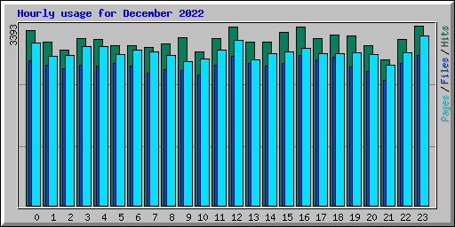 Hourly usage for December 2022