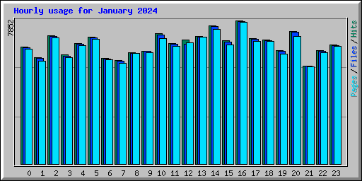 Hourly usage for January 2024