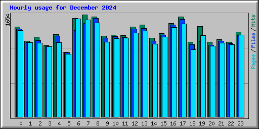 Hourly usage for December 2024
