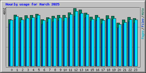 Hourly usage for March 2025